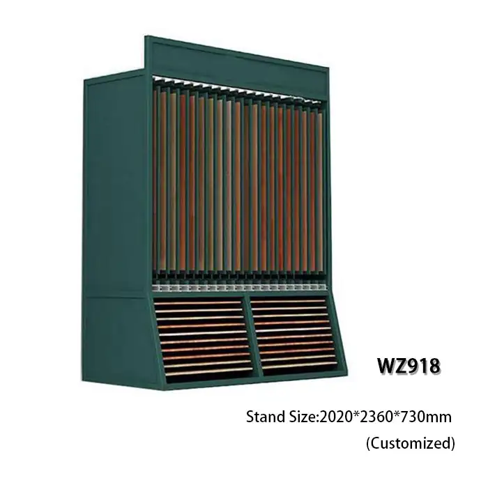 WZ2002